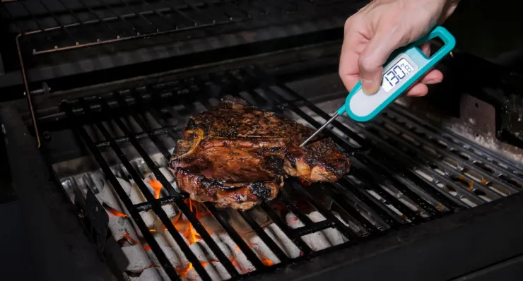 Food safety meat probe