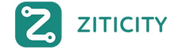 Ziticity