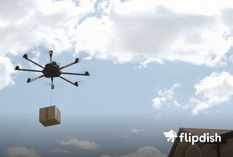 FD Businessplan Blog Drone 5