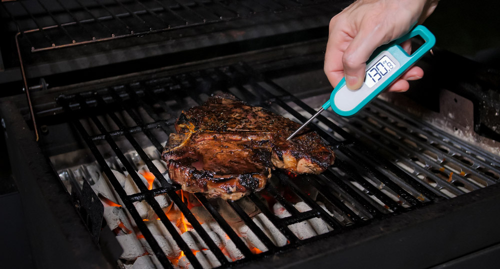 Food safety meat probe
